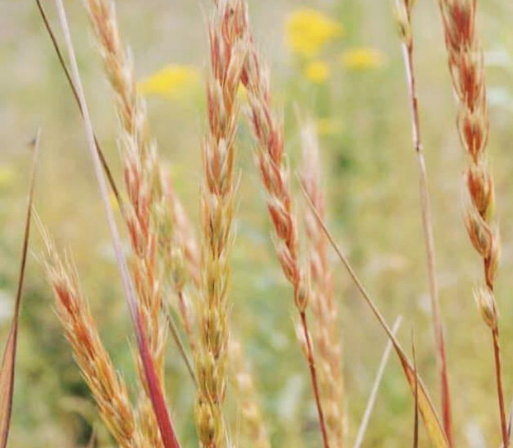 COUNTRY INSPIRED LANDSCAPES Request a Quote 35 Photos Yutan