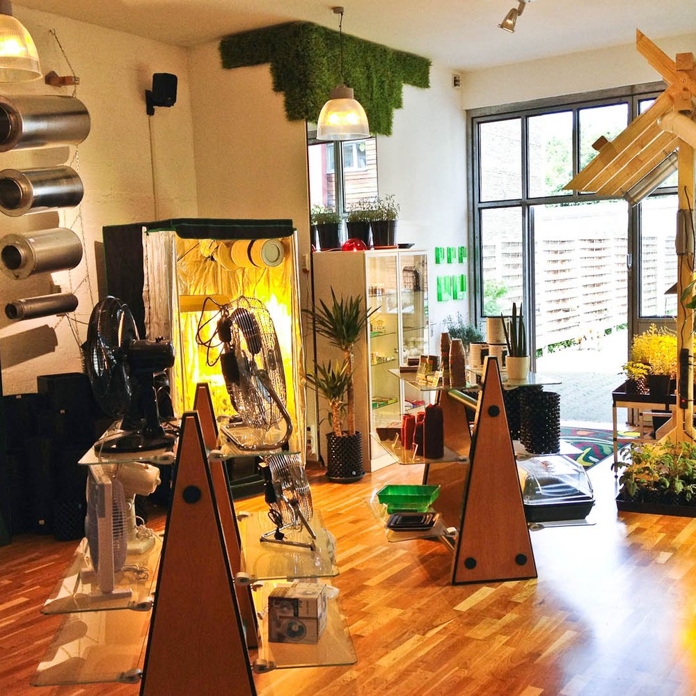 TOP 10 BEST House Plants in Cologne, Nordrhein-Westfalen, Germany - Updated  2026 - Yelp