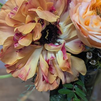 Small Flower - the glorious Japanese Ranunculus "Charlotte" - Florists Near Me - Calgary, Alberta Small Flower - the glorious Japanese Ranunculus "Charlotte" - Florists Near Me - Calgary, Alberta