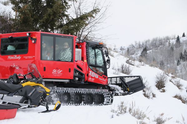 Backcountry Safaris by null