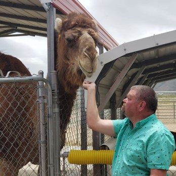Scipio Petting Zoo - Petting Zoos Near Me - Scipio, Utah Scipio Petting Zoo - Petting Zoos Near Me - Scipio, Utah