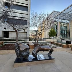 Center for Clinical Sciences Research CCSR