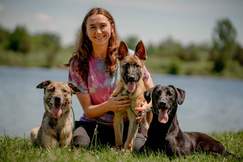 Ubora K9 - pet boarding facility in Breedsville, MI