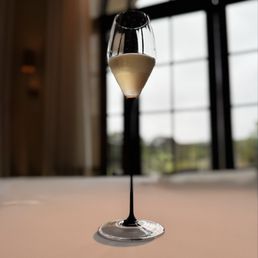 Champaign Champaign