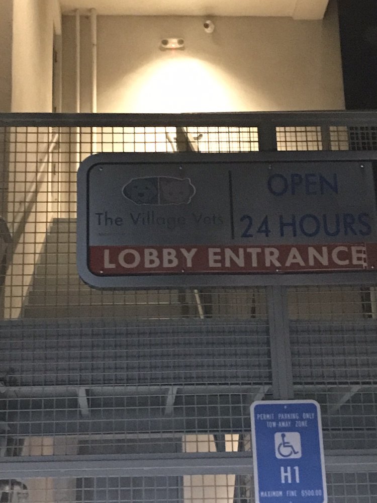 THE VILLAGE VETS Updated August 2024 63 Photos & 254 Reviews 217