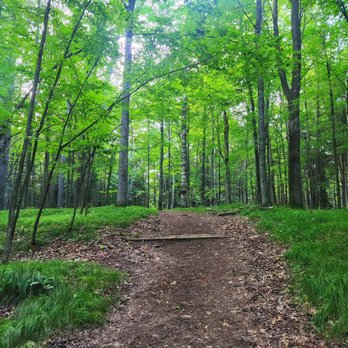 Council Grounds State Park - Hiking trail - Parks Near Me - Merrill, Wisconsin