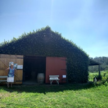 Undercliff Winery & Studio - Wineries Near Me - Wollombi, NSW