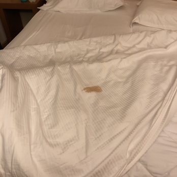 Grand Hotel Mediteraneo - Blood stained sheets put on our bed by housekeeping. - Hotels Near Me - Florence, FI Grand Hotel Mediteraneo - Blood stained sheets put on our bed by housekeeping. - Hotels Near Me - Florence, FI