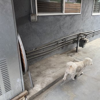 Guti Haul It Away - Junk Removal & Hauling Near Me
