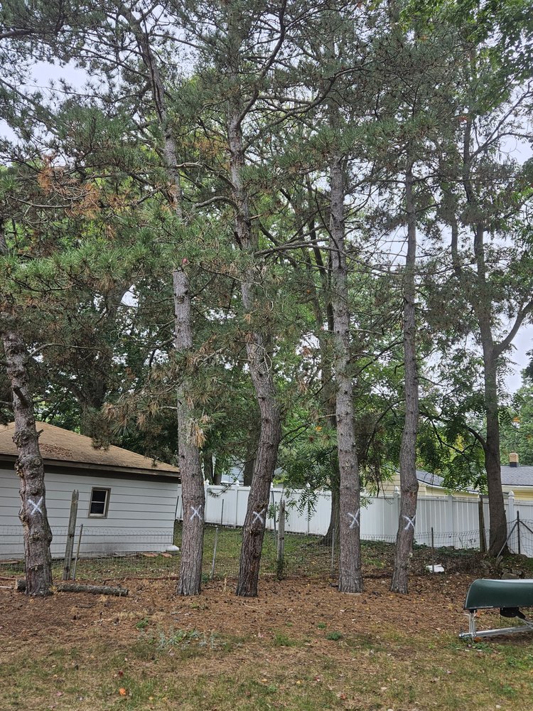 Fahlen Forestry - tree service in Grand Rapids, MI