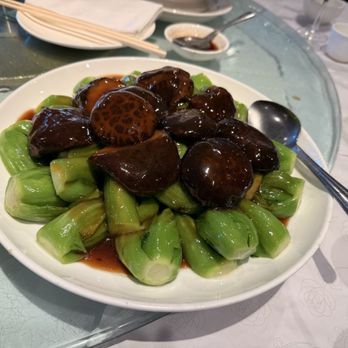 Won Kok Restaurant - Black mushrooms with Chinese mustard greens - Chinese Near Me - San Francisco, California Won Kok Restaurant - Black mushrooms with Chinese mustard greens - Chinese Near Me - San Francisco, California