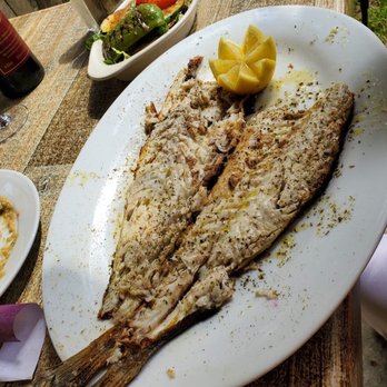 Sofia's Mediterranean Grill - Grilled fish - Greek Near Me - Hasbrouck Heights, New Jersey Sofia's Mediterranean Grill - Grilled fish - Greek Near Me - Hasbrouck Heights, New Jersey