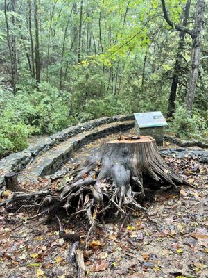 Natural Bridge State Park by null