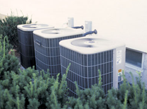 Slide of Carl F Riedell & Son