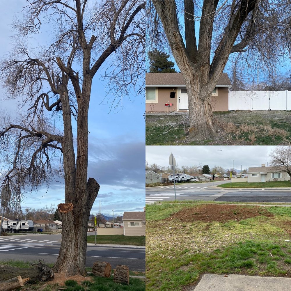 The Restoration Project - tree service in Salt Lake City, UT