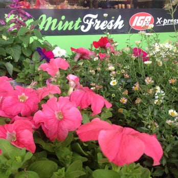 Mint Fresh IGA - MintFresh flowers to plant - Cheese Shops Near Me - Baulkham Hills, NSW