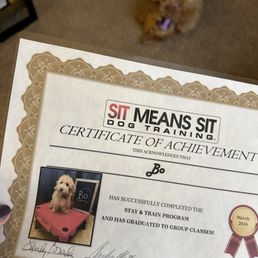 Sit Means Sit Dog Training - Pet Training Near Me - Longmont, Colorado
