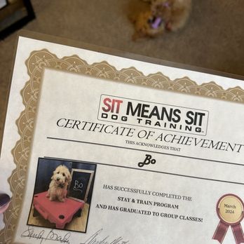 Sit Means Sit Dog Training - Pet Training Near Me - Longmont, Colorado Sit Means Sit Dog Training - Pet Training Near Me - Longmont, Colorado