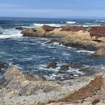 Fort Bragg Cyclery - The coast trail. - Bikes Near Me - Fort Bragg, California