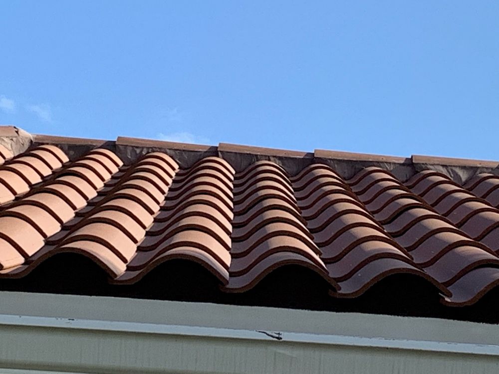 Slide of Mr. & Mrs. Shingles Roofing