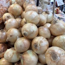 Las Americas - Giant yellow onions
