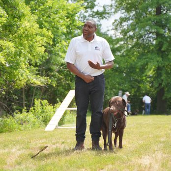 Lorenzo's Dog Training Team - Pet Training Near Me