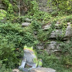 Haunted Eureka Springs - Frog by the spring