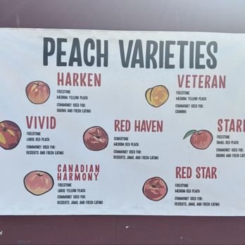 Grossen Peaches - Fruits & Veggies Near Me - Hillsboro, Oregon Grossen Peaches - Fruits & Veggies Near Me - Hillsboro, Oregon