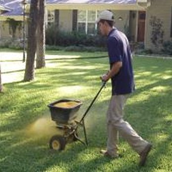 Texas Organic Lawn Care - Organic fertilizer is safe and it works great! - Landscaping Near Me Texas Organic Lawn Care - Organic fertilizer is safe and it works great! - Landscaping Near Me