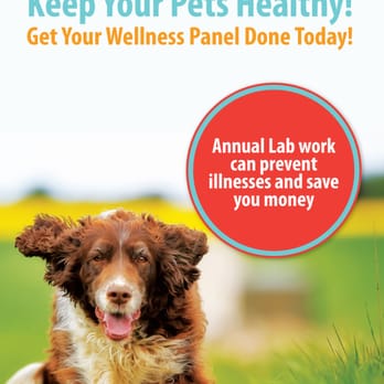 EZ Vet Veterinary Clinic - EZ Vet Station- Convenient, Affordable, Quality pet care! - Veterinarians Near Me - Clearwater, Florida EZ Vet Veterinary Clinic - EZ Vet Station- Convenient, Affordable, Quality pet care! - Veterinarians Near Me - Clearwater, Florida