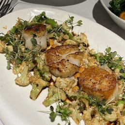 Scallops