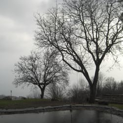 Le Deven - Der Teich überm  Genfer See