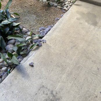 Legacy North Apartments - Lint on my back porch after they cleaned out the public dryer vents. - Apartments Near Me - Plano, Texas