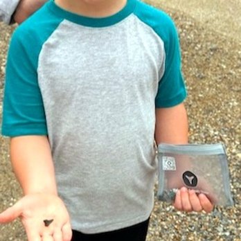 Tybee Shark Teeth Tours - With teeth he reclaimed from the ocean, our grandson found new meaning in the 'Baby Shark' song!! Heard it all  the way home! - Walking Tours Near Me