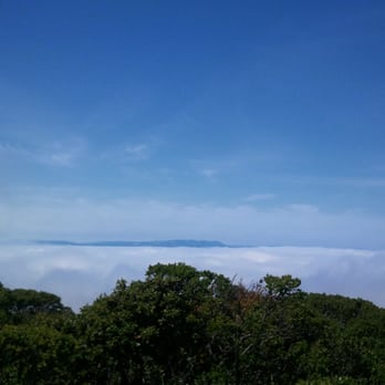 San Pedro Valley Park - just above the cloud line - Parks Near Me - Pacifica, California San Pedro Valley Park - just above the cloud line - Parks Near Me - Pacifica, California