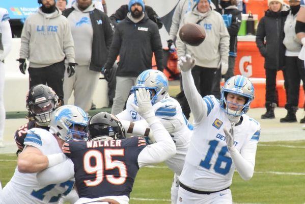 Detroit Lions by null