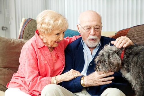 LVHHC - home care agency in Las Vegas, NV