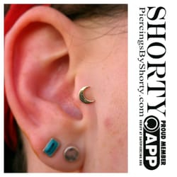 Shorty's Fine Jewelry and Piercing - Tragus piercing with 18k yellow gold moon from Anatometal