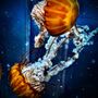 Photo of Charleston Marine Life Center