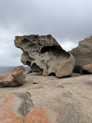 Flinders Chase National Park by null