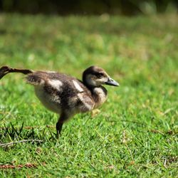 Equilibrium by Cynthia - Sharing our practice with all creatures!!