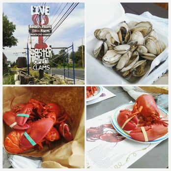 Beach Plum Lobster Farm - Lobsters and steamers done right. I love this place. - Seafood Markets Near Me - Ogunquit, Maine