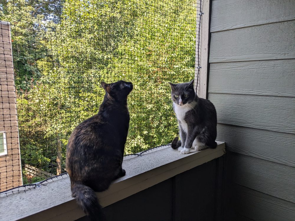 Slide of Fix It Renovations