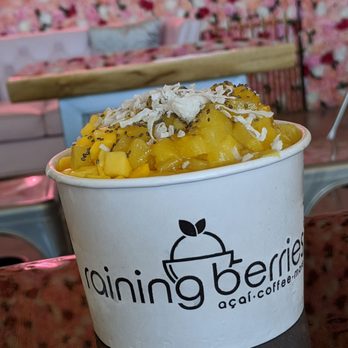 Raining Berries - Acai Bowls Near Me - Lutz, Florida Raining Berries - Acai Bowls Near Me - Lutz, Florida