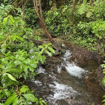 Akaka Falls State Park - Water - Parks Near Me - Honomu, Hawaii