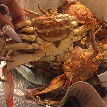 Yummy Seafood - Large meaty females - Seafood Near Me - Temple Hills, Maryland Yummy Seafood - Large meaty females - Seafood Near Me - Temple Hills, Maryland
