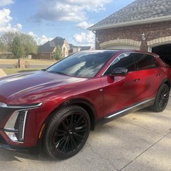 Tinted Visions
