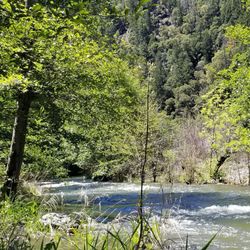 Del Loma RV Park & Campground - Del Loma Rv park.