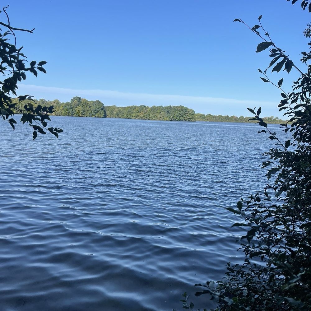 Ionia State Recreation Area - Parks Near Me - Ionia, Michigan