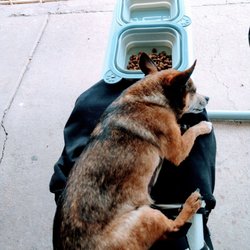 Los Parientes - Dog friendly patio